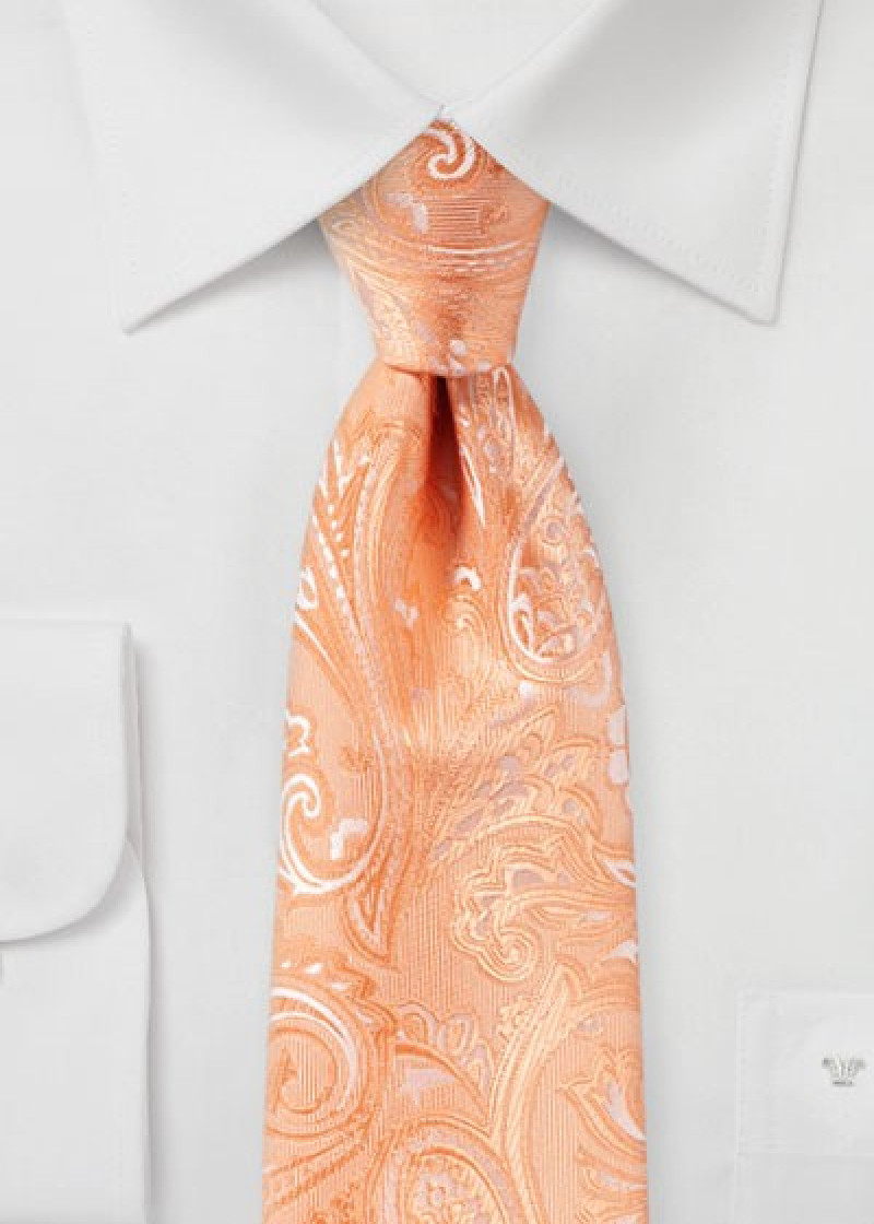Zakelijke stropdas gecultiveerd paisley motief