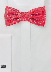 Herenstrik Stijlvol Paisley Motief Rood