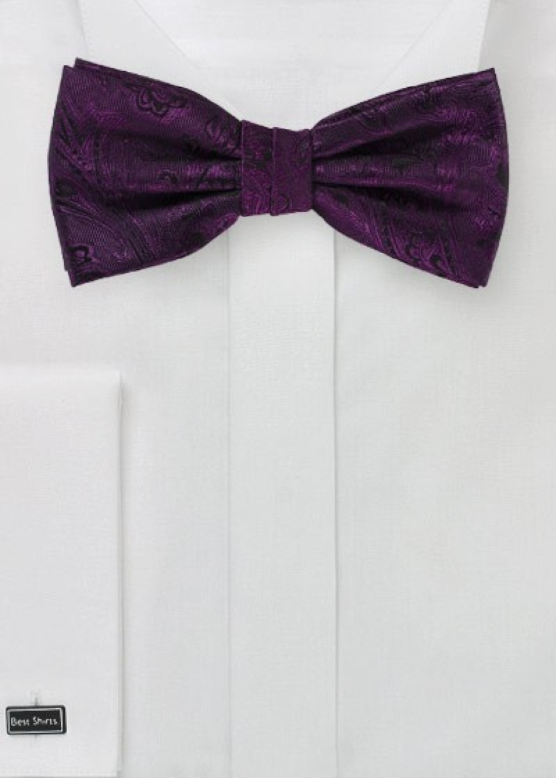 Strikje Stijlvol Paisley-patroon Paars