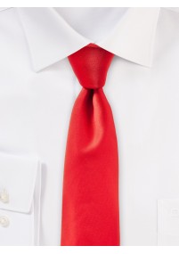 Zijden Business Tie Elegant Satijn Glans Rood