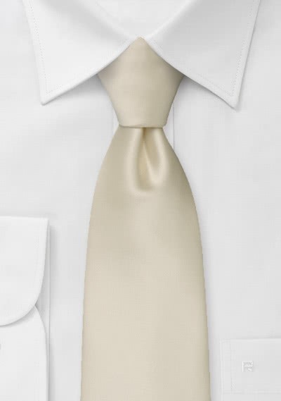 Champagnekleurige stropdas satijn-look | Kopen bij