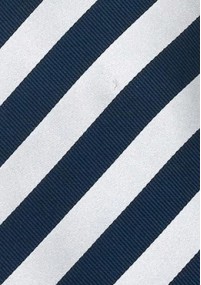 Identity Krawatte in blau/silber