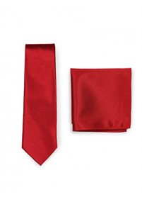 Set Krawatte Ziertuch rot Struktur