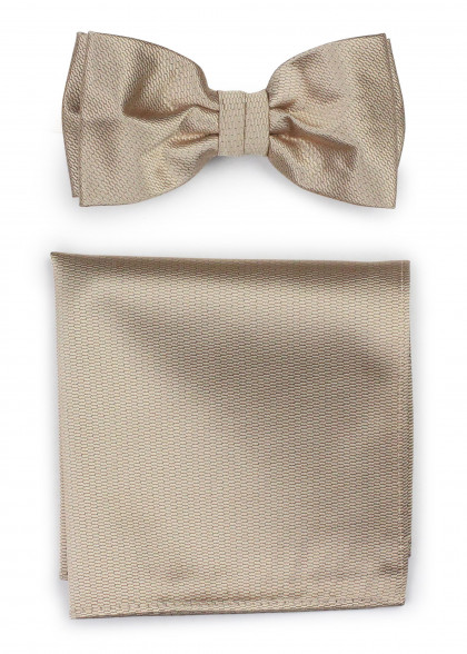 Set vlinderdas aus dem gleichen Stoff und Farbe