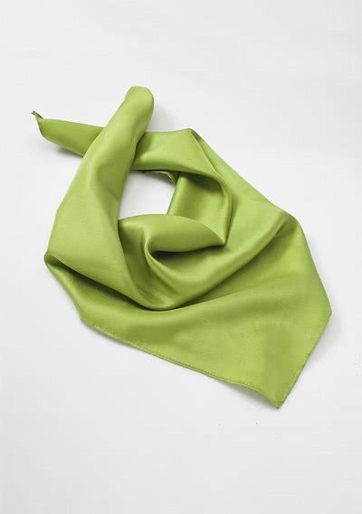 Grünes Halstuch Polyester Grünes Halstuch Polyester