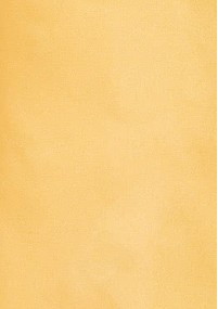Moulins Clip-Krawatte in warmem gelb