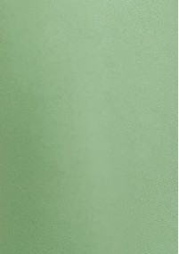 Krawatte Kinder grasgrün unifarben