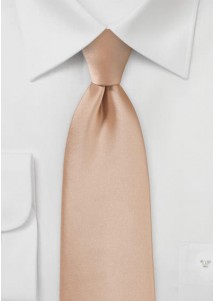 Stijlvolle herenstropdas beige microvezel