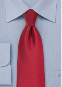 Modieuze mannen stropdas rood microfiber