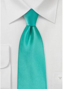 Modieuze turkoois stropdas microfiber