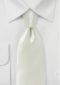 Zakelijke stropdas italiaanse zijde...